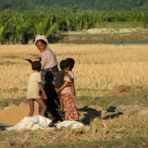 Myanmar 2008 © Agriversal Ltd